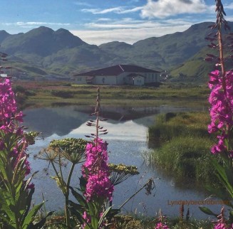 14079795_10150750685084980_1436386115647714097_n